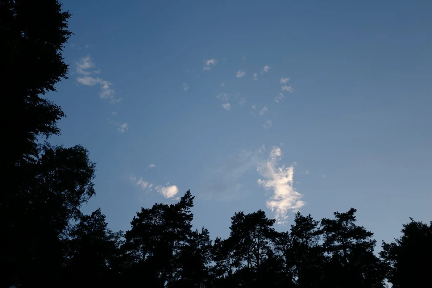 Aufwärtsfeedback / 360 Grad